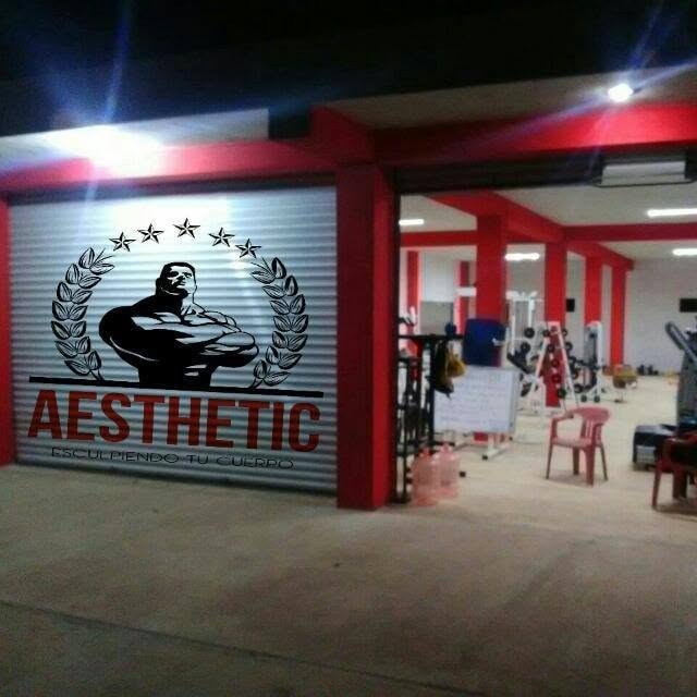 Logo de AESTHETIC GYM