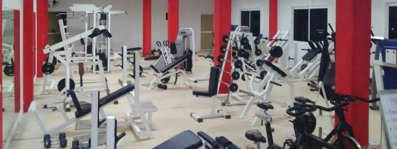 Portada de AESTHETIC GYM