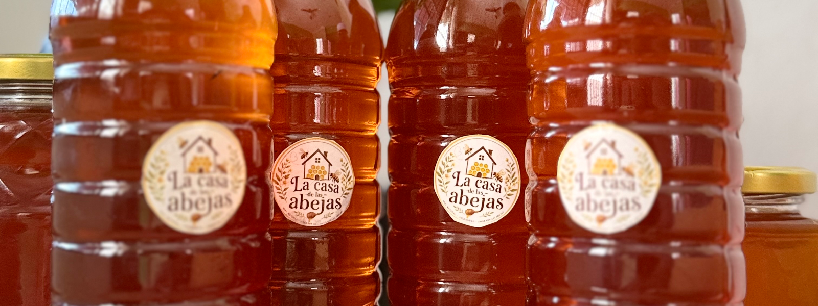 Portada de La casa de las abejas
