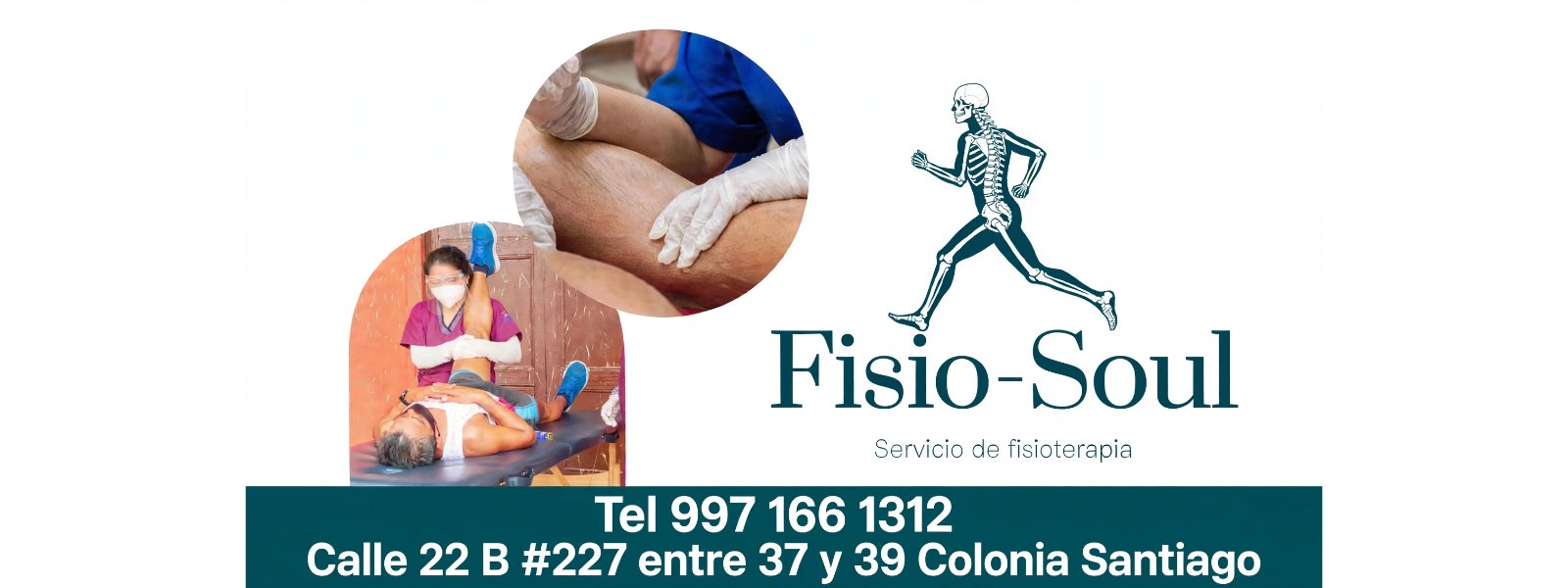 Portada de FISIO-SOUL